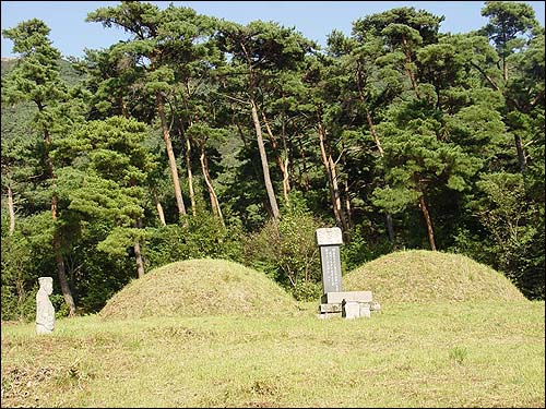 '삼개옥문 적선지가'를 실천한 어초은 윤효정의 묘 